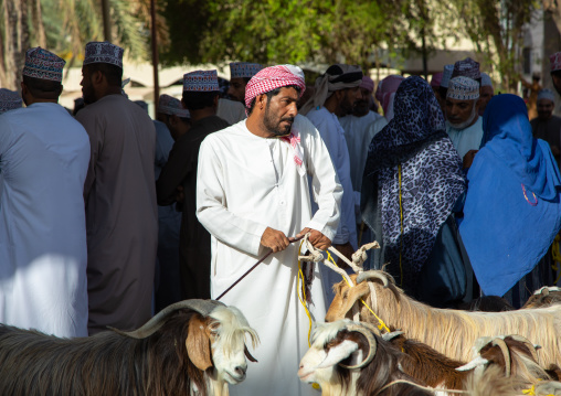 Omani man using his mobile phone while selling goats in the market, Ad Dakhiliyah Region, Nizwa, Oman