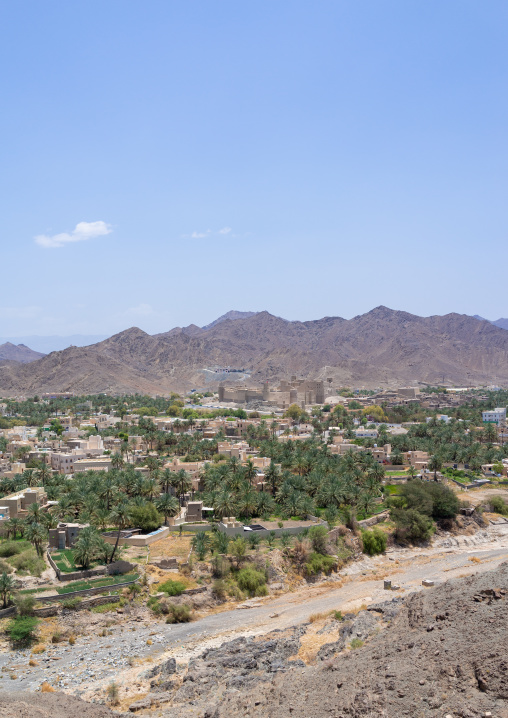 Bahla fort in the middle of an oasis, Ad Dakhiliyah ‍Governorate, Oasis of Bahla, Oman