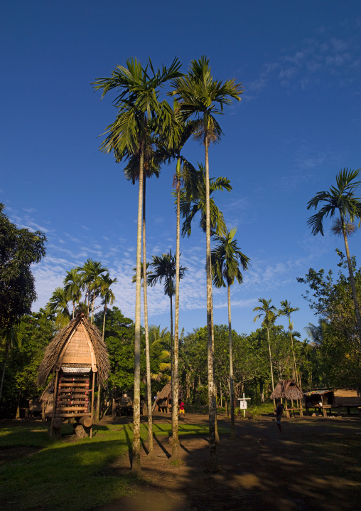 House in a village to store the yam roots, Milne Bay Province, Trobriand Island, Papua New Guinea