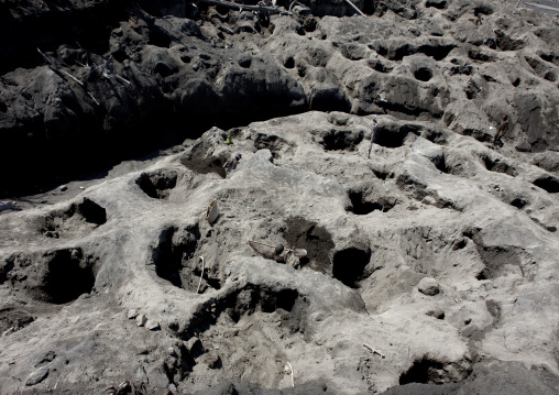 Men digging to find megapode birds eggs in tavurvur volcano ashes, East New Britain Province, Rabaul, Papua New Guinea
