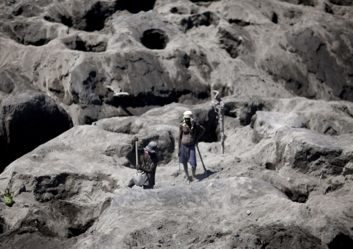 Men digging to find megapode birds eggs in tavurvur volcano ashes, East New Britain Province, Rabaul, Papua New Guinea