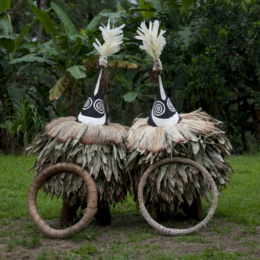 Duk duk giant masks with traditional shell money, East New Britain Province, Rabaul, Papua New Guinea