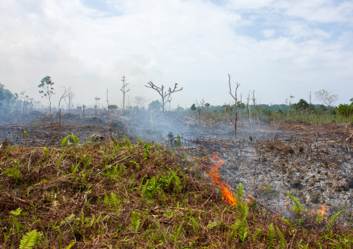 Bush fire to repel mosquitoes, Milne Bay Province, Trobriand Island, Papua New Guinea