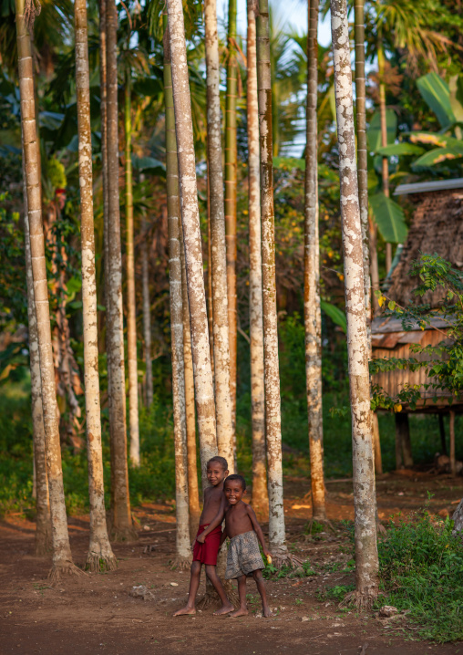 Children in a village in a forest, Milne Bay Province, Trobriand Island, Papua New Guinea