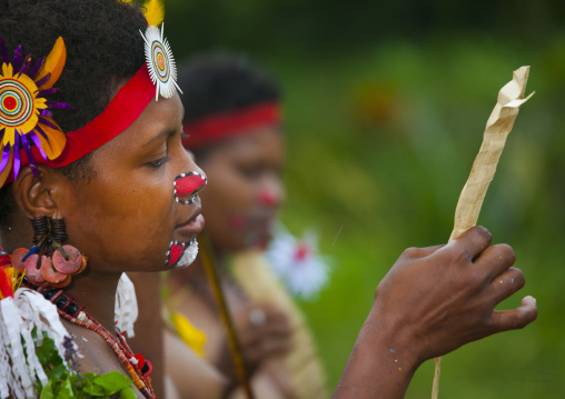 Portrait of tribal women in traditional clothing, Milne Bay Province, Trobriand Island, Papua New Guinea