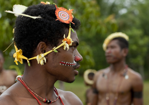 Tribal dancers with traditional clothing during a ceremony, Milne Bay Province, Trobriand Island, Papua New Guinea