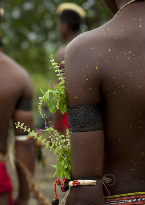 Tribal dancers in traditional clothing during a sing-sing, Milne Bay Province, Trobriand Island, Papua New Guinea