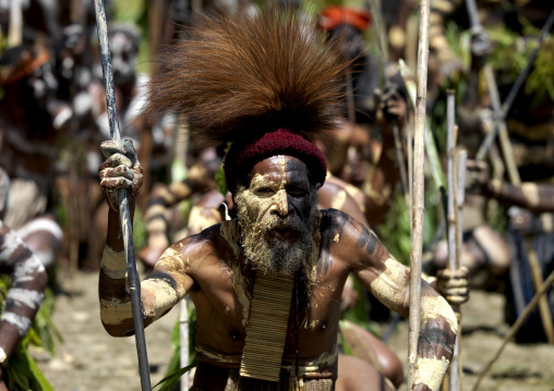 Chimbu tribe men during a sing sing ceremony, Western Highlands Province, Mount Hagen, Papua New Guinea