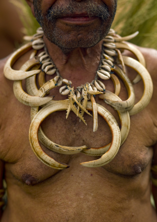 Chimbu tribe man with a pig tusks necklace during a Sing-sing ceremony, Western Highlands Province, Mount Hagen, Papua New Guinea