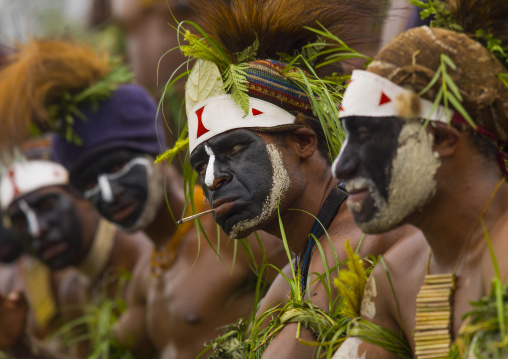 Highlander warriors with traditional clothing during a sing-sing, Western Highlands Province, Mount Hagen, Papua New Guinea