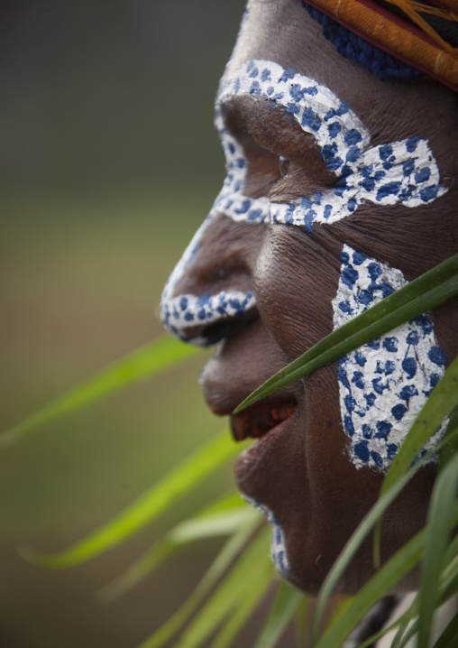 Melpa tribe woman with traditional makeup during a sing sing, Western Highlands Province, Mount Hagen, Papua New Guinea