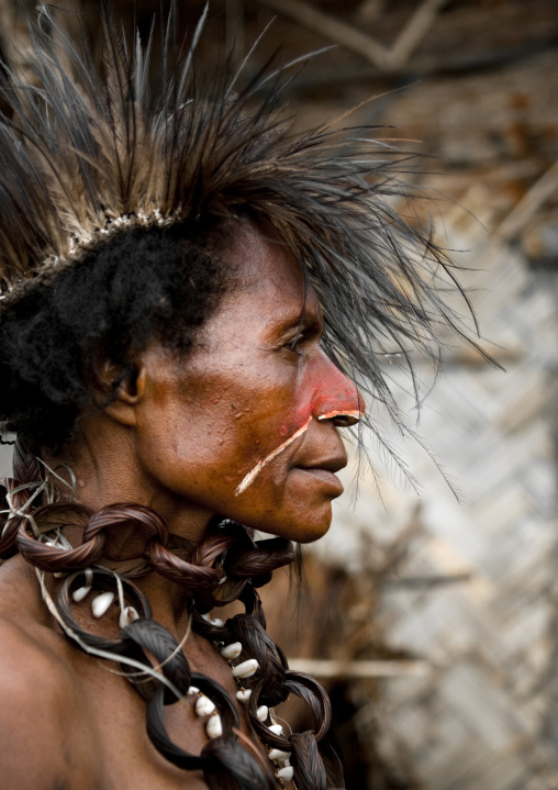 Profile of a chimbu tribe woman during mt hagen sing sing, Western Highlands Province, Mount Hagen, Papua New Guinea