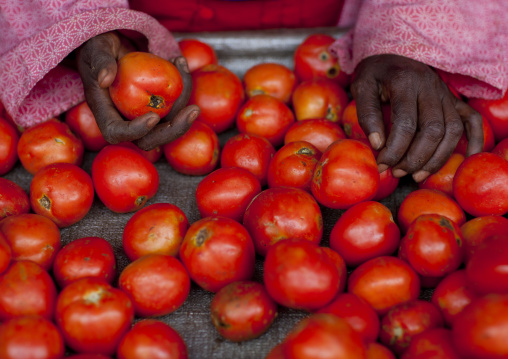 Woman selling tomatoes in the market, Kigali Province, Kigali, Rwanda