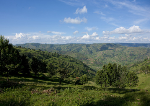 Shorongo hills, Kigali Province, Kigali, Rwanda