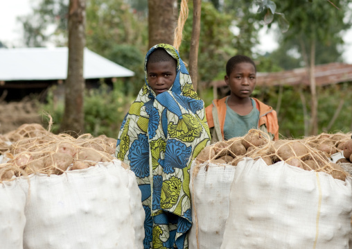 Rwandan children in the volcanoes national park, Northwest Province, Rehengeri, Rwanda