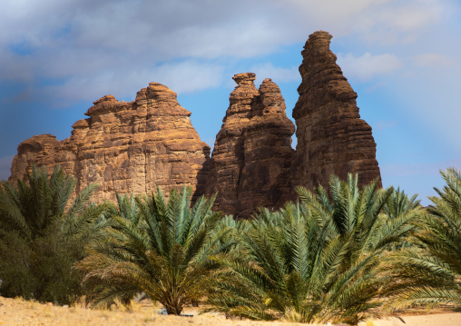 Palm trees in the oasis of jebel Dedan, Al Madinah Province, Alula, Saudi Arabia