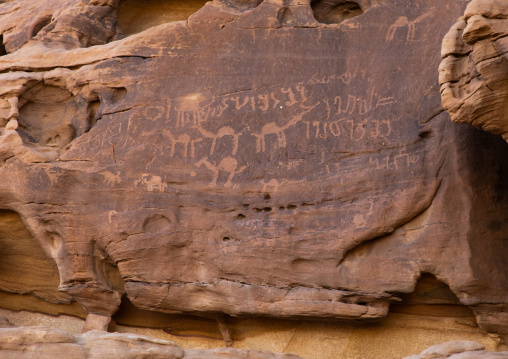 Hieroglyphs and camels petroglyphs on a rock in Madain Saleh, Al Madinah Province, Alula, Saudi Arabia