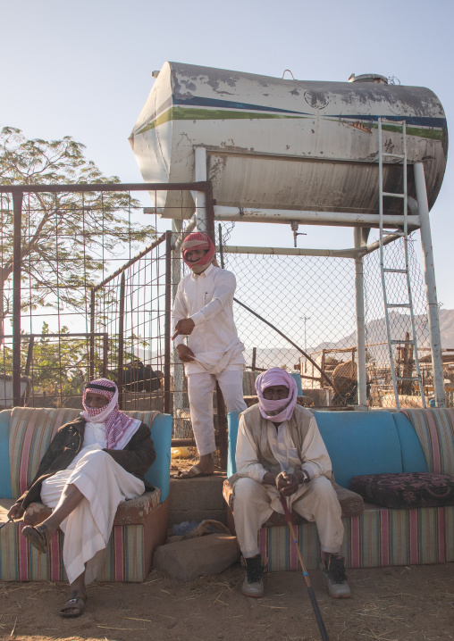 Saudi men resting on a sofa in the camel market, Najran Province, Najran, Saudi Arabia