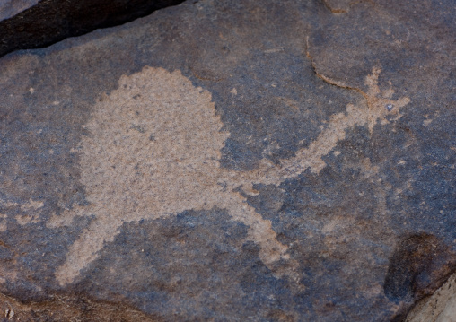 Petroglyphs rock art depicting a camel, Najran Province, Abar Himma, Saudi Arabia