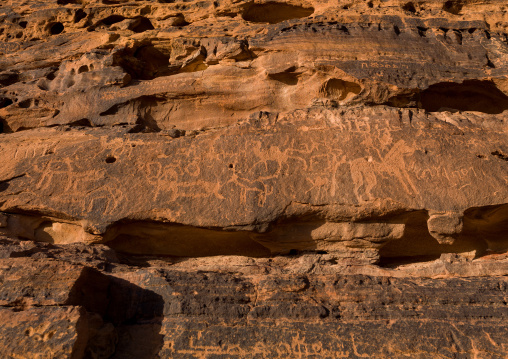 Petroglyphs in the mountain depicting horses and camels, Al Madinah Province, Al-Ula, Saudi Arabia