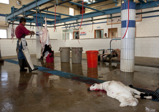 Slaughterhouse, Najran Province, Najran, Saudi Arabia