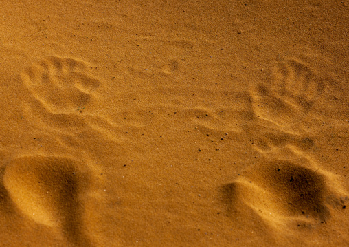 Footprints and handprints in the sand of a muslim after he prayed in the desert, Al Madinah Province, Al-Ula, Saudi Arabia
