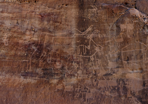 Petroglyphs rock art depicting cows, Al Madinah Province, Alula, Saudi Arabia