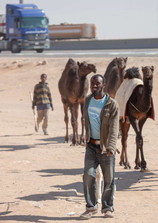 Man with camels in the market, Riyadh Province, Riyadh, Saudi Arabia