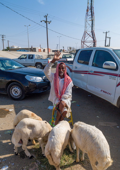 Saudi man selling sheeps in the market, Jizan Province, Sabya, Saudi Arabia
