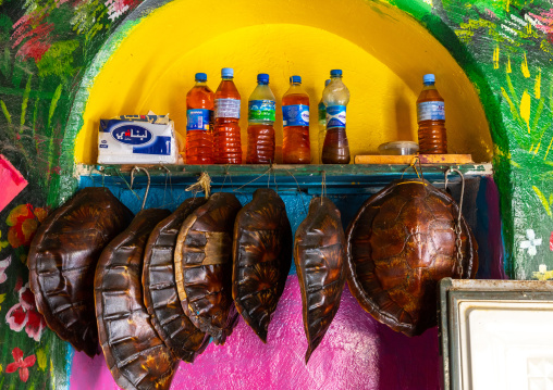 Turtles shells in a fisherman shop, Sahil region, Berbera, Somaliland