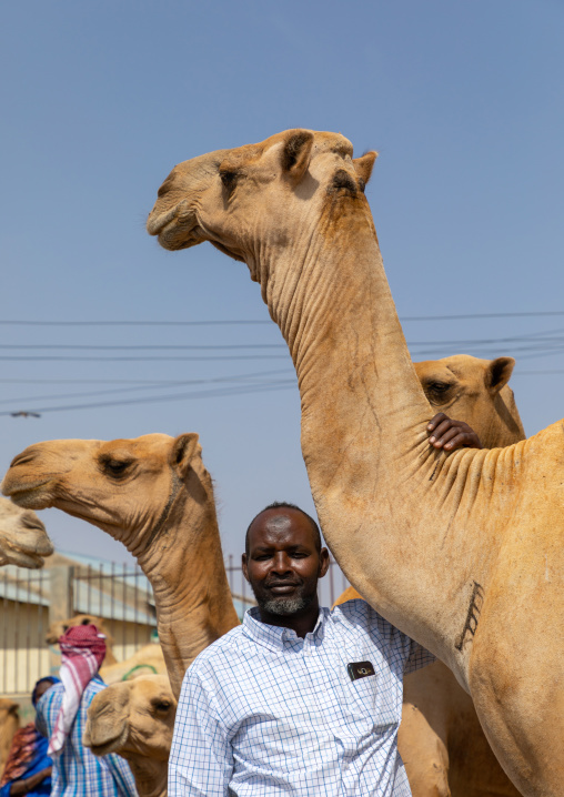 Somali man in the camel market, Woqooyi Galbeed region, Hargeisa, Somaliland
