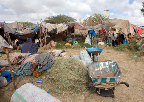 Fodder for animals in a market, Woqooyi Galbeed region, Hargeisa, Somaliland