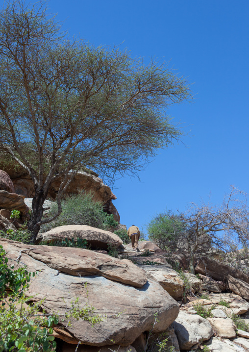 Landscape of the las geel area, Woqooyi Galbeed region, Hargeisa, Somaliland