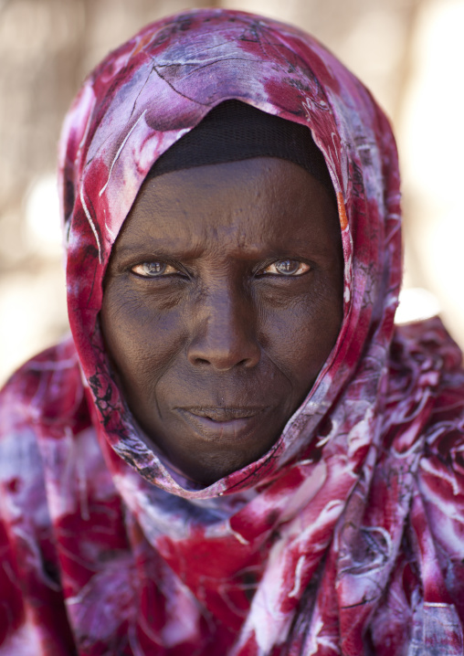 Portrait Of A Mature Woman Wearing A Pink Hijab, Lasadacwo Village, Somaliland