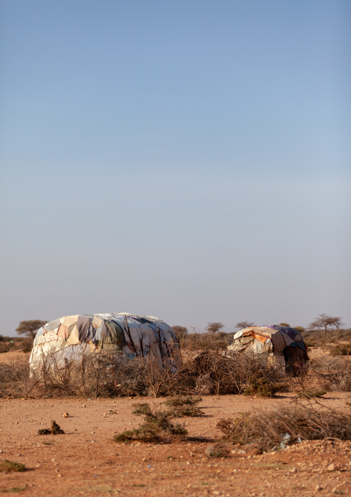 A somali hut called aqal, Woqooyi Galbeed province, Baligubadle, Somaliland