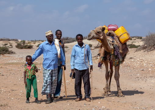 Somali family collecting water with their camel, Dhagaxbuur region, Degehabur, Somaliland