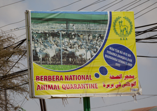 A Bilboard For The Berbera National Animal Quarantine, Berbera, Somaliland