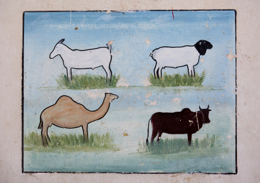 An Advertisement Painting For Livestock Dairy Products, Boorama, Somaliland
