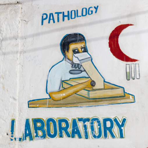 An Advertisement For A Laboratory Painted Onto A Wall And Depicting A Man Looking Through A Microscope, Boorama, Somaliland
