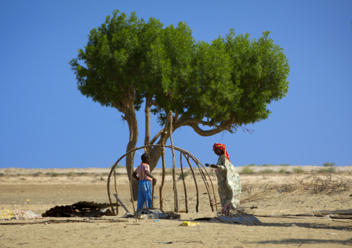 A Senior Woman And A Child Building A Hut Near A Tree, Near Zeila, Somaliland