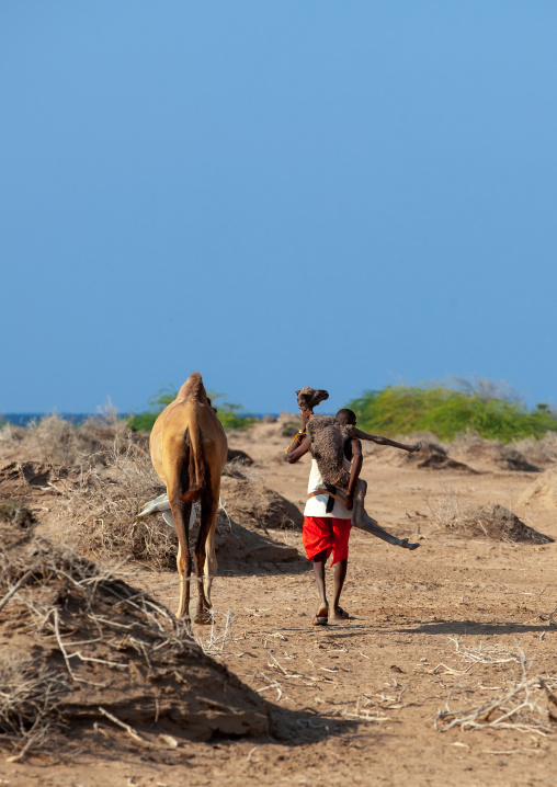 A somali man is holding a new born baby camel on his back, Awdal region, Lughaya, Somaliland