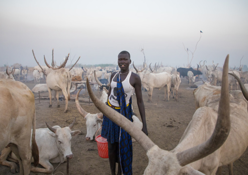 Mundari tribe woman collecting cow urine in a cattle camp, Central Equatoria, Terekeka, South Sudan