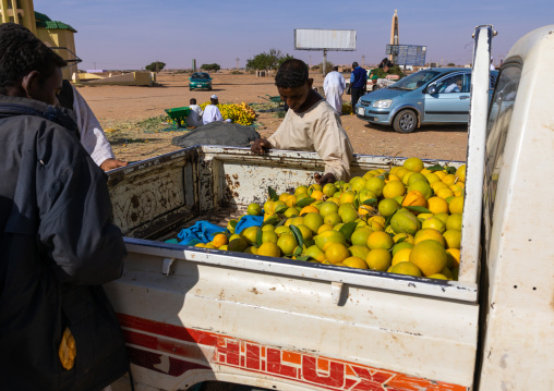 Sudanese people buying oranges in the back of a Hilux Toyata car, Khartoum State, Khartoum, Sudan