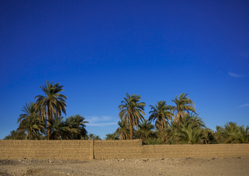 Sudan, Nubia, Soleb, palm trees