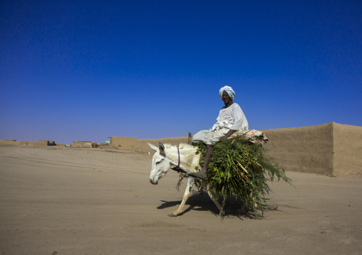 Sudan, Northern Province, Delgo, sudanese man riding a donkey