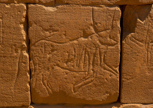 Sudan, Nubia, Naga, animal carving on the elephant temple at musawwarat es-sufra
