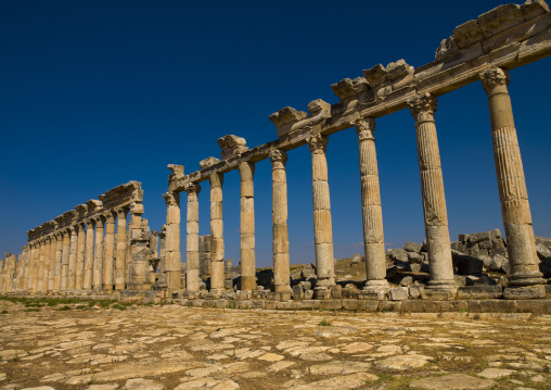 Columned Ancient Street, Apamea, Hama Governorate, Syria