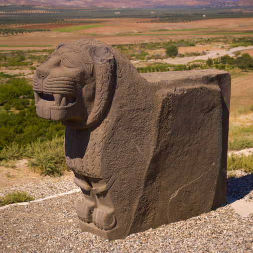 Massive Basalt Hittite Lion Carving, Hama, Hama Governorate, Syria
