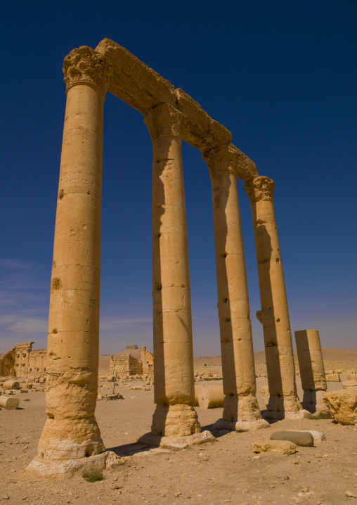 The Ancient Roman City, Palmyra, Syrian Desert, Syria