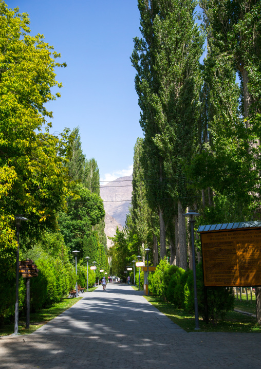 Alley with big trees in Khorog city park, Gorno-Badakhshan autonomous region, Khorog, Tajikistan